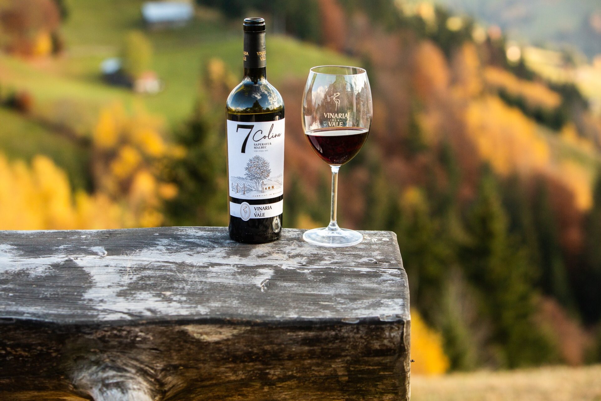 482238209_665118045861925_3997690019244062448_n