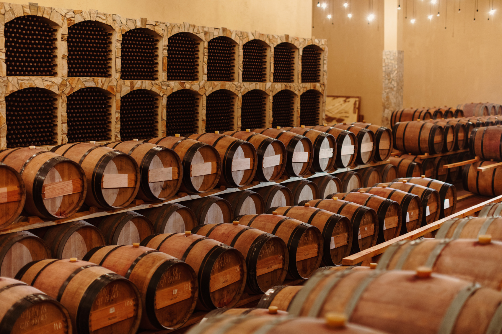 483598059_665611735812556_8179065179817629287_n