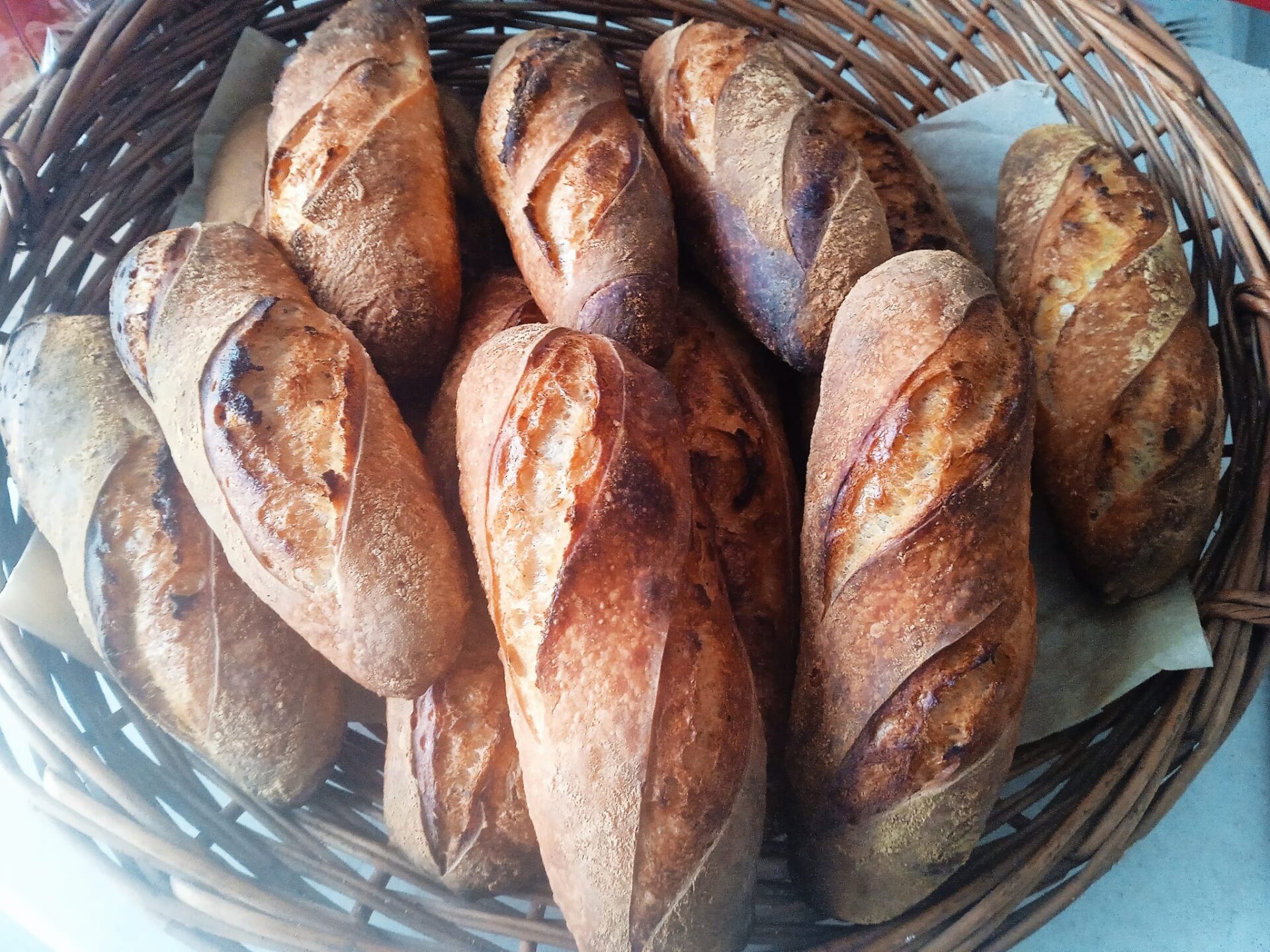 485019797_650363771043364_7216995639499796604_n