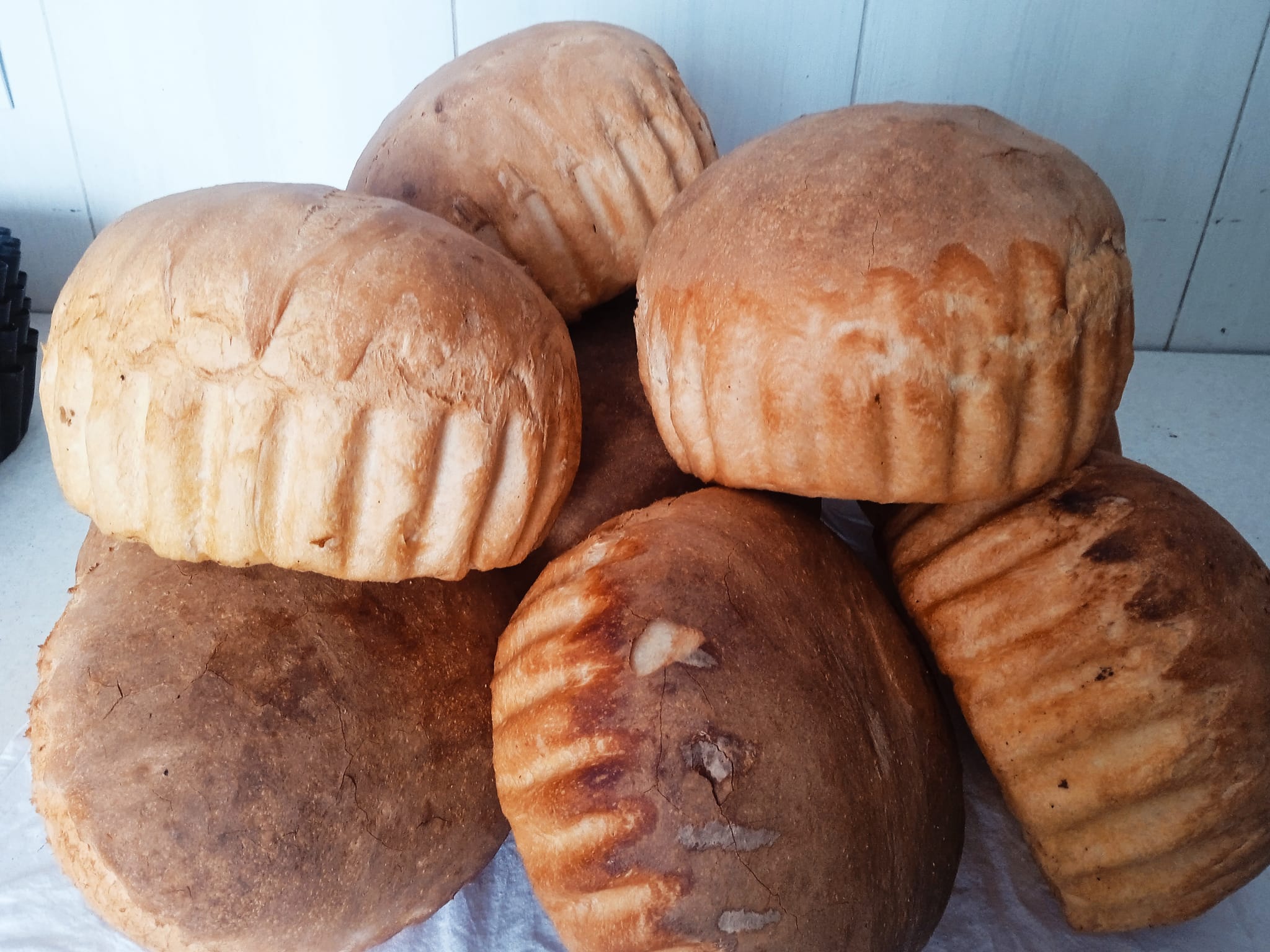 485027313_649730711106670_1848228326920449151_n