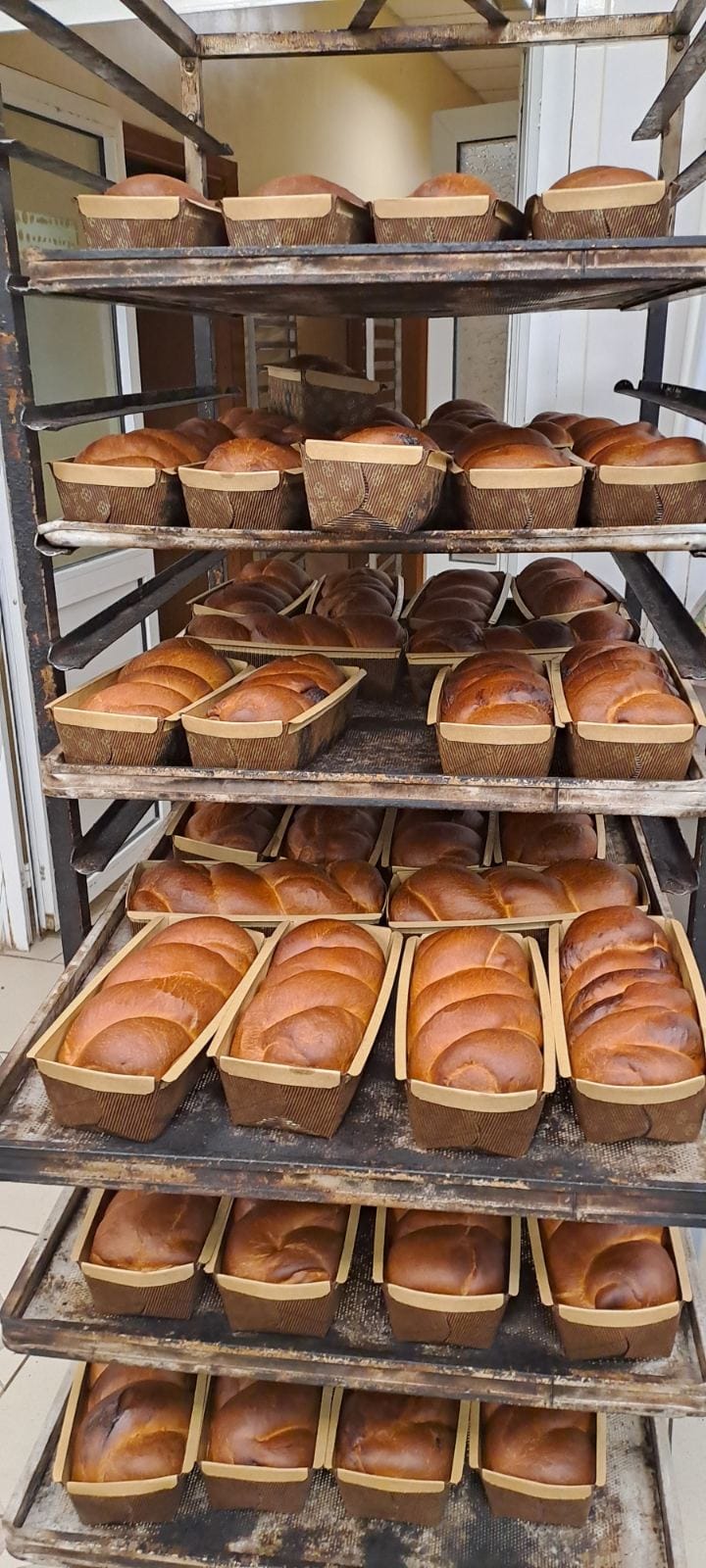 486118114_652360897510318_3316265618079606794_n