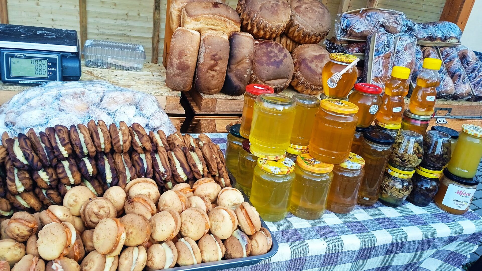 486782838_657426973670377_9102910582639211336_n