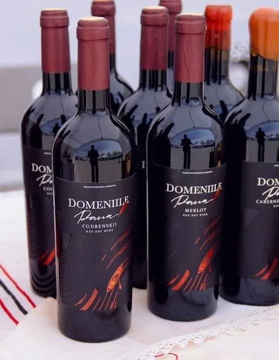 486852070_688975836973064_7024142542582778276_n