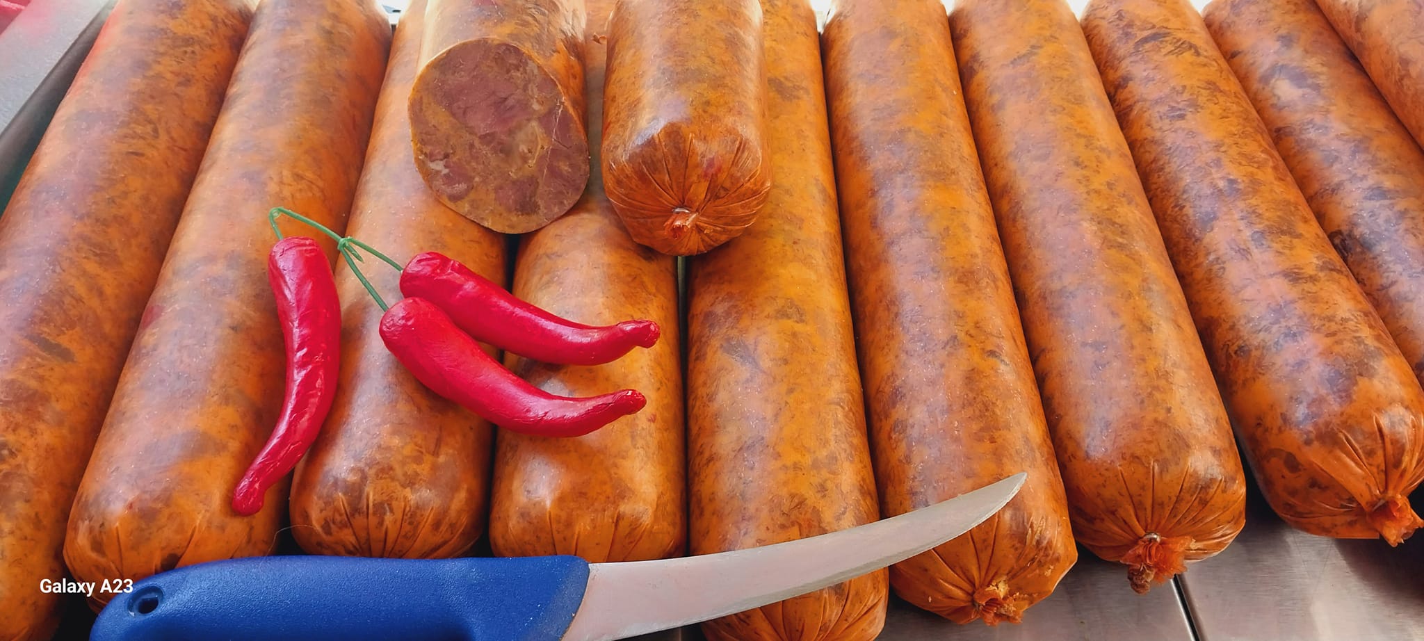 487297356_1073129201500522_307684478390100739_n