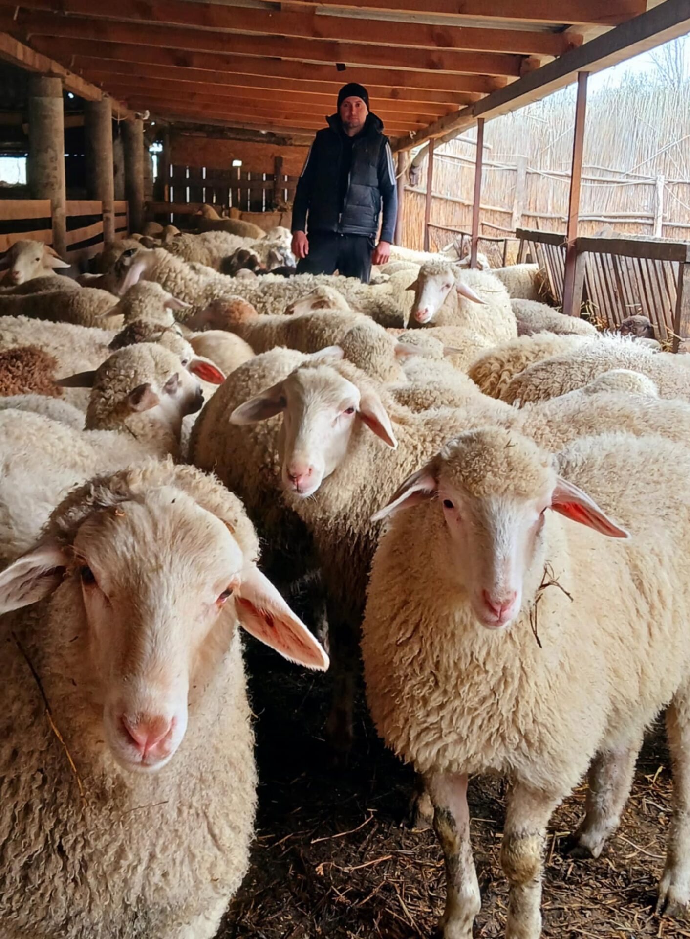 489326540_1081670700646372_240664835825520593_n