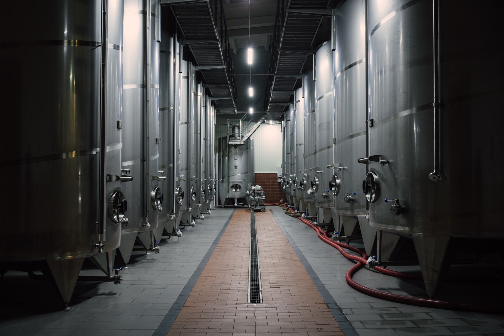 84735781_2583751375200965_7177322957901922304_n