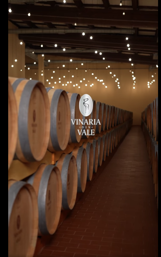 Captură de ecran 2025-04-07 114756