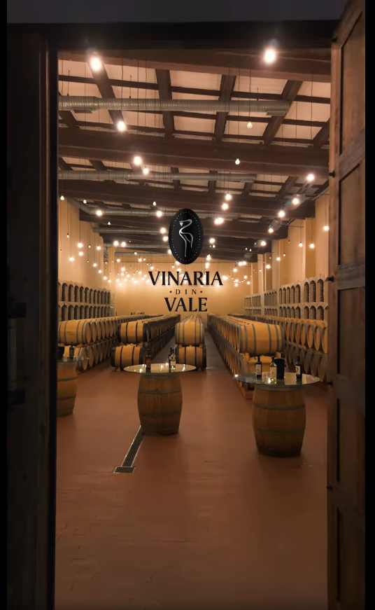 Captură de ecran 2025-04-07 115015