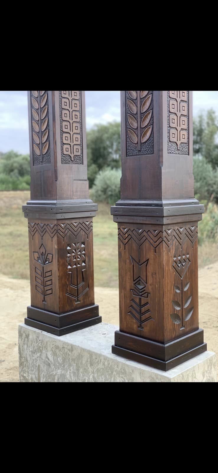 461317404_2520034601514763_4847490920108204529_n