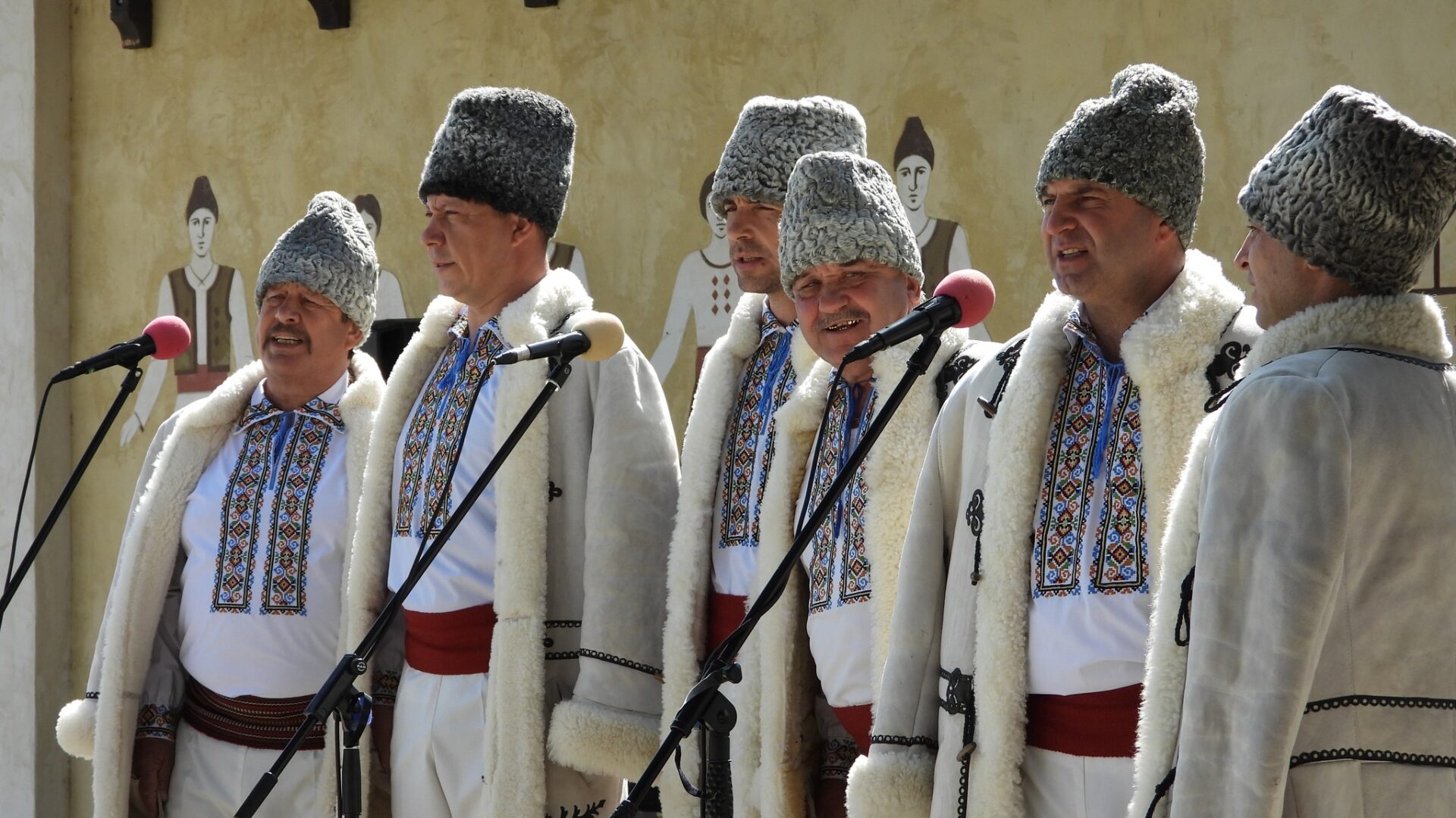 344555106_244306708108506_3561163461041438799_n