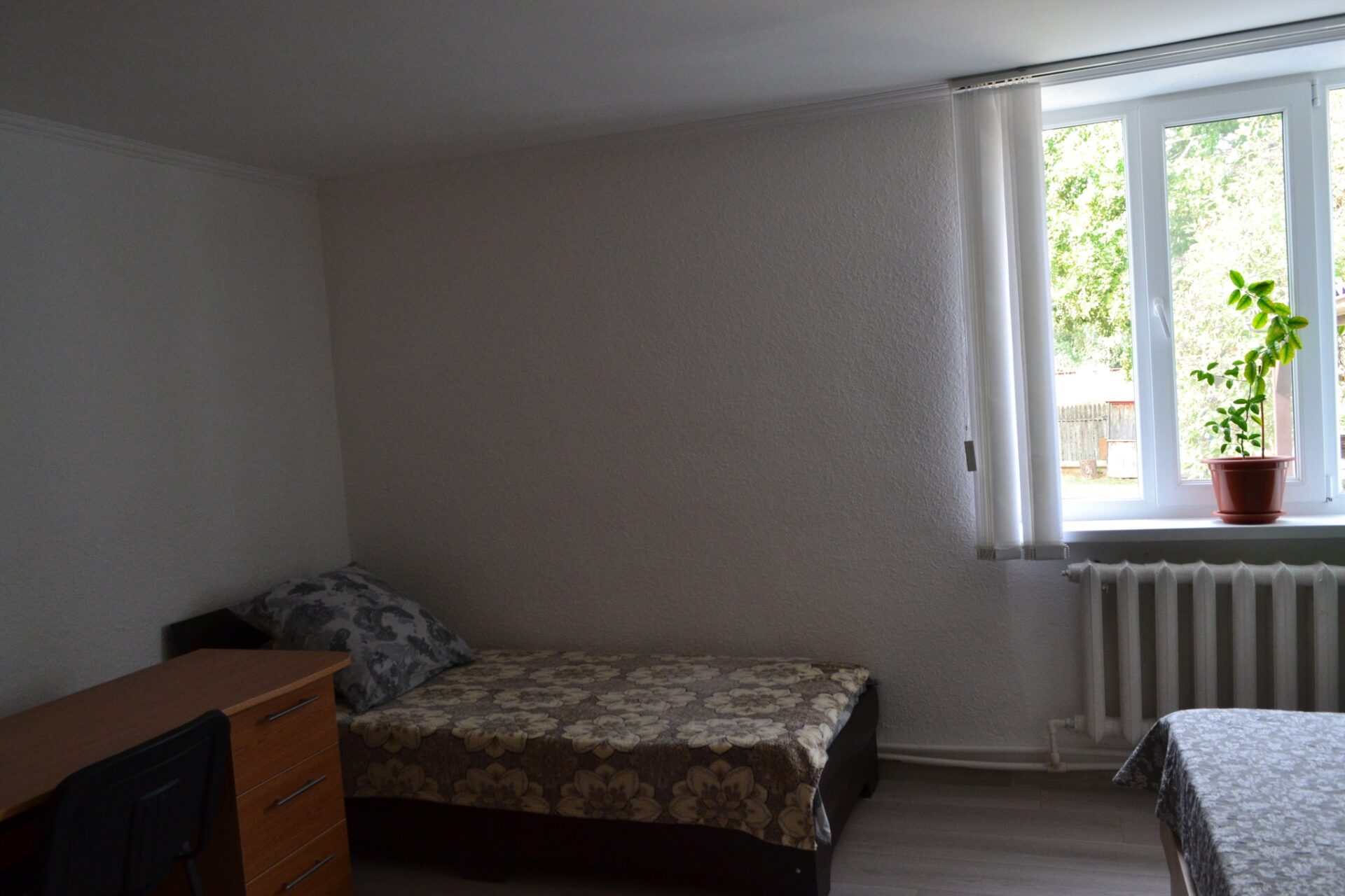 491842959_4023651367953074_1379096950701682590_n