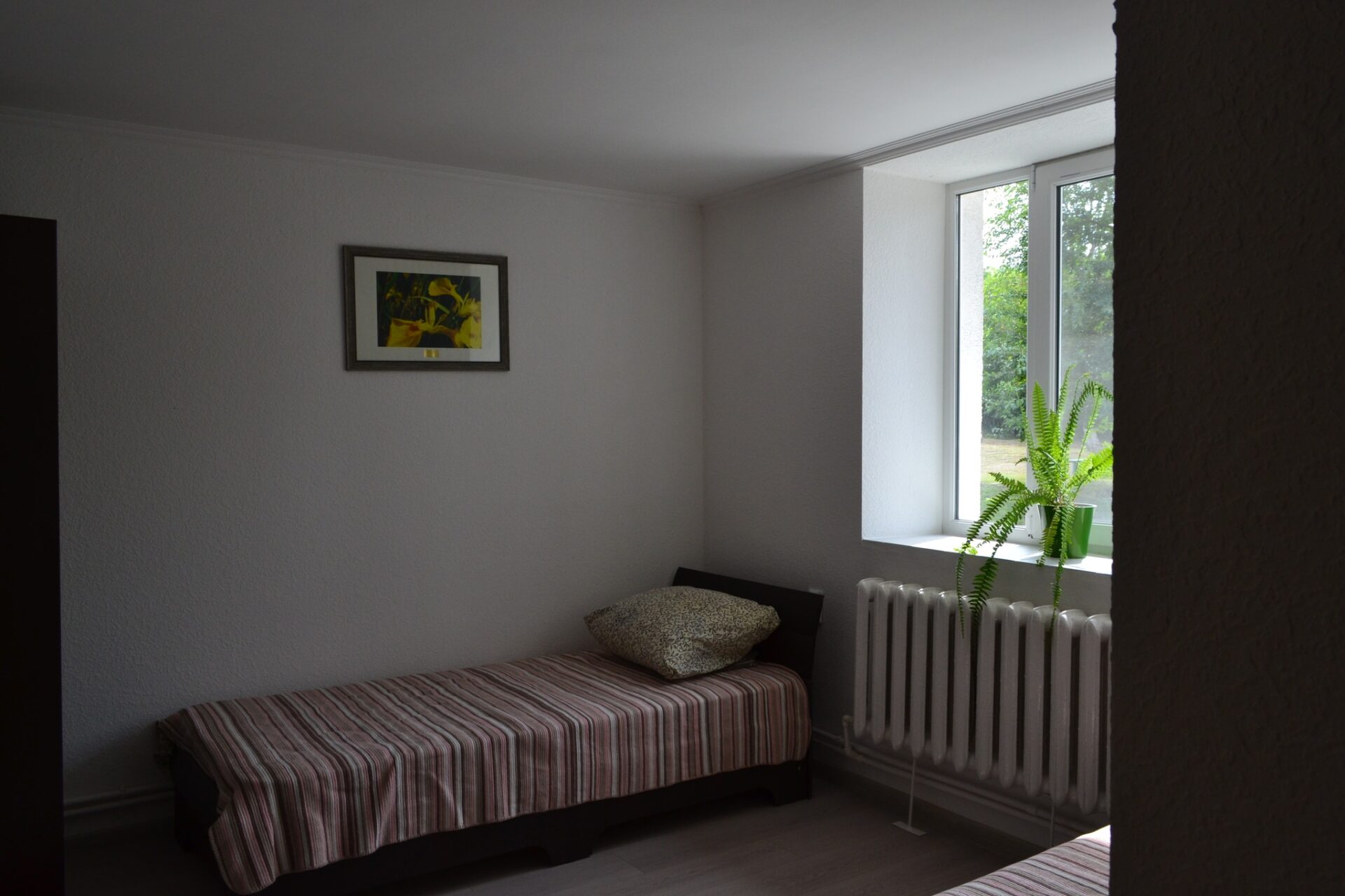 492112036_4023651344619743_4771188280486457426_n