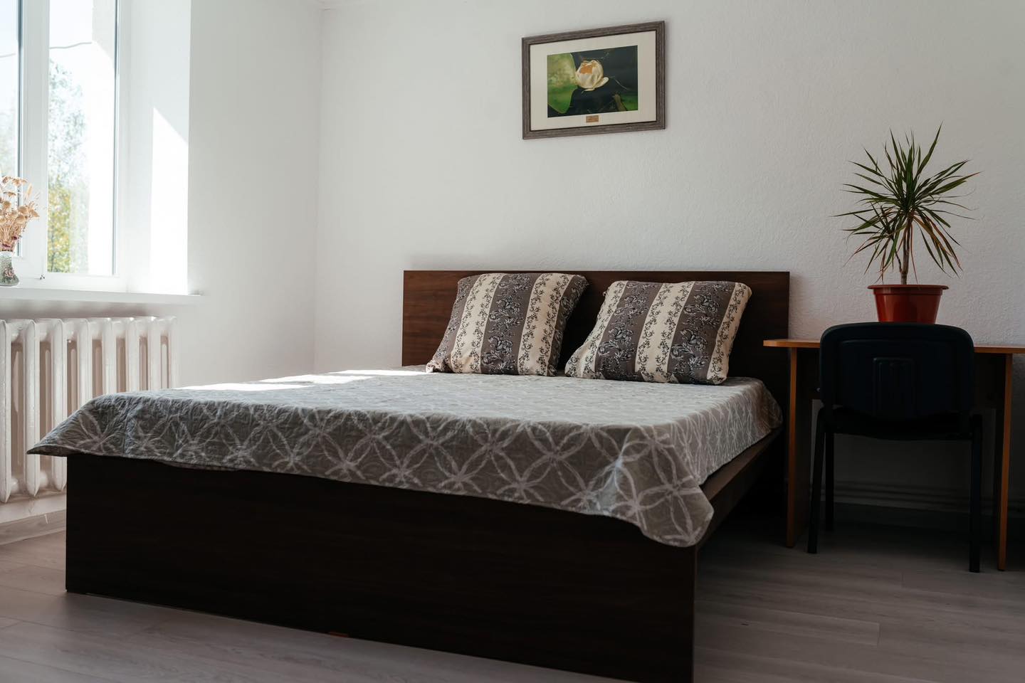 504382505_122118037070908769_4772154804680365241_n