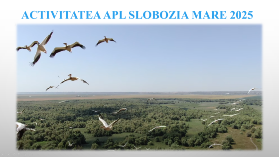 Raportul APL Slobozia Mare pentru anul 2025