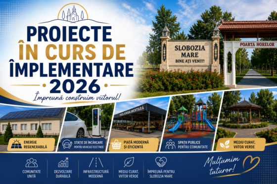 Proiecte în curs de implementare 2026
