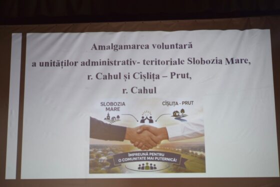 Consultări publice asupra proiectului de decizie cu privire la amalgamarea voluntară – 12 iulie 2026