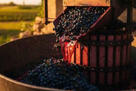 Atenție! Pericol de intoxicare cu dioxid de carbon în perioada fermentării vinului